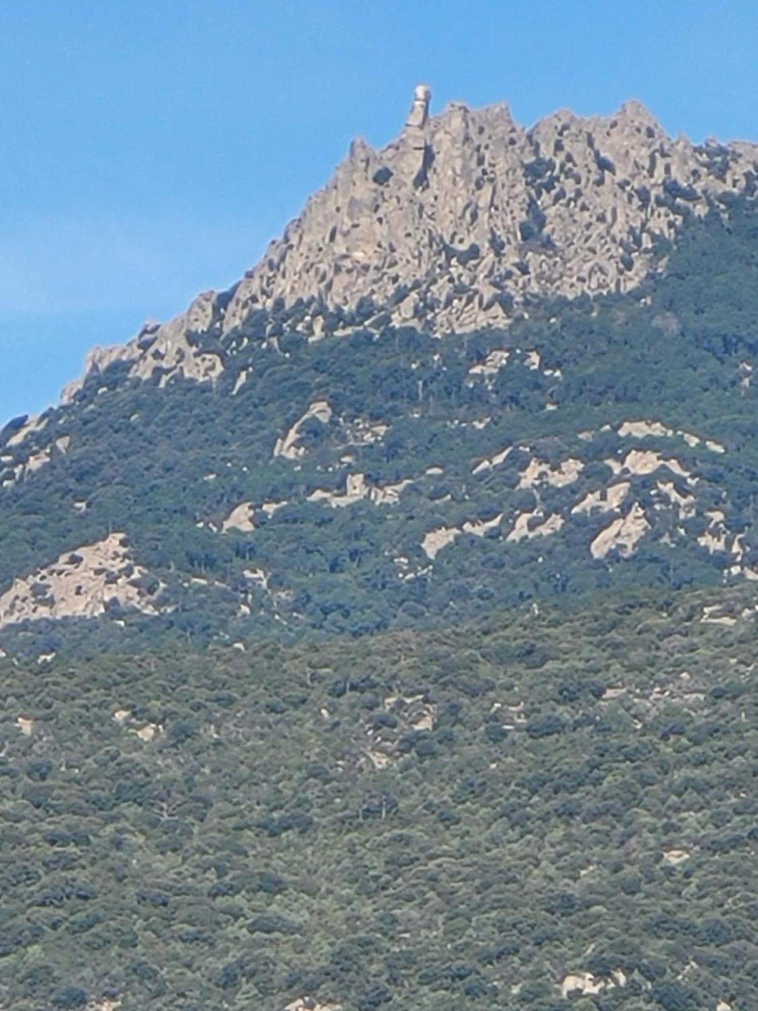 Argiale - Arghjale Villa Figari  Eksteriør bilde